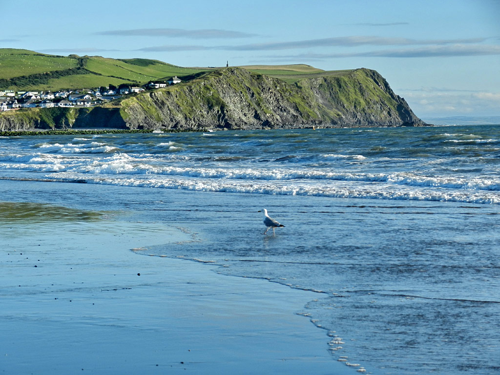 Borth